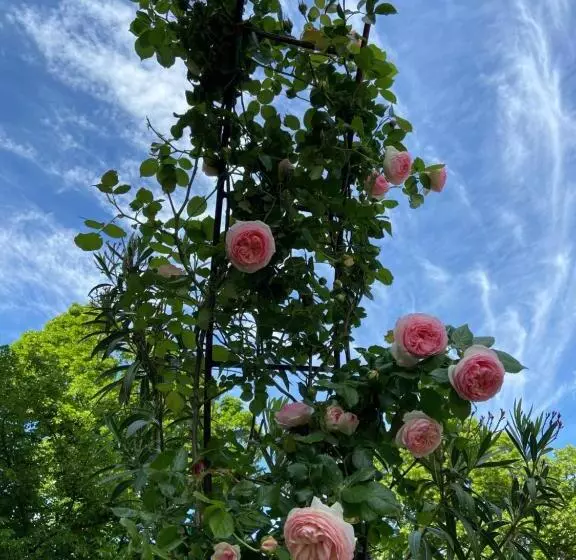 B&b Castello Machiavelli