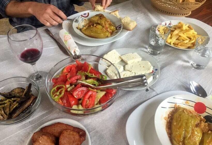 פנסיון Alpinehouse Theth