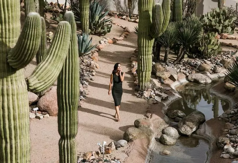 Civana Wellness Resort & Spa