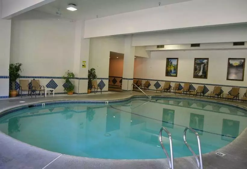 Отель Cedar Lodge