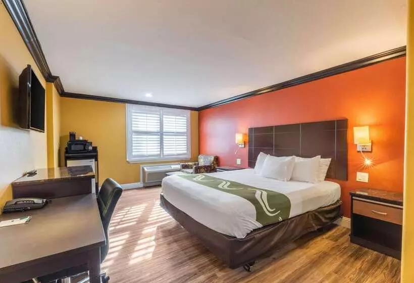 Hotelli Quality Inn & Suites