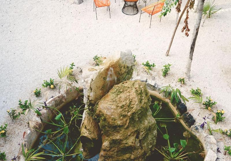 Szálloda Bufo Alvarius