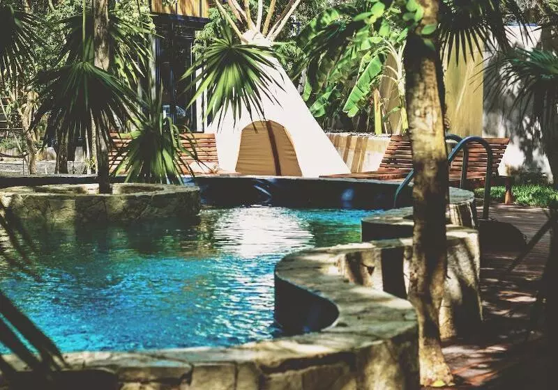 هتل Bufo Alvarius