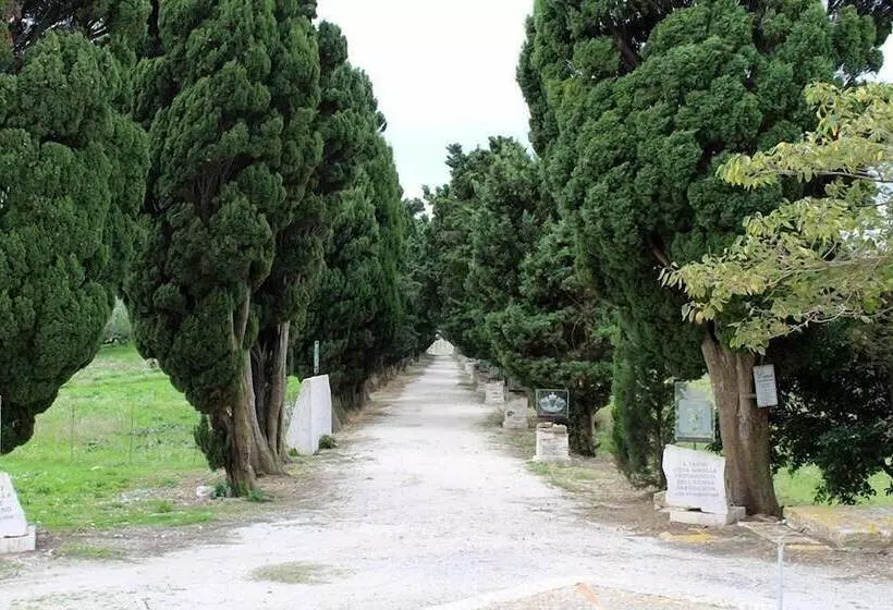 La Dimora Di Segesta B&b