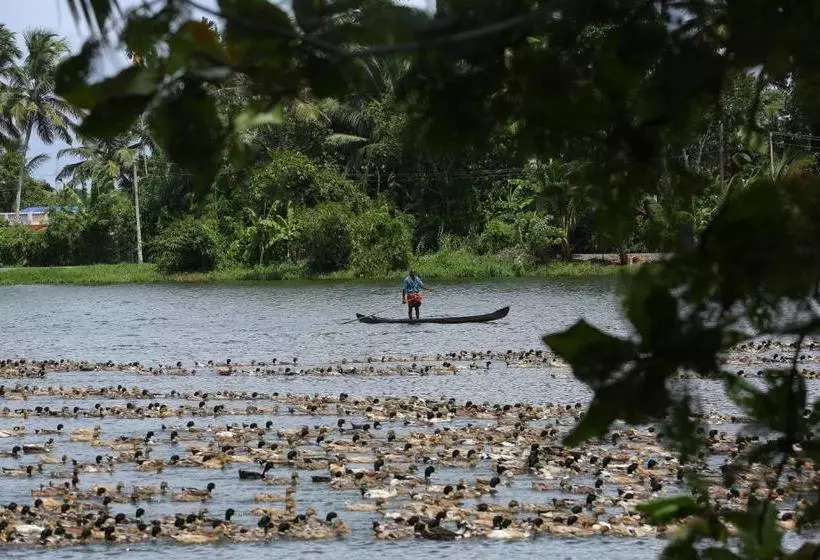 Green Palace Ayurveda Resort