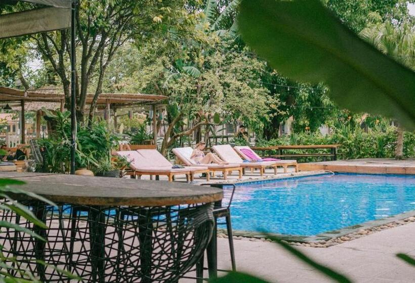 The Banana Tree Hostel