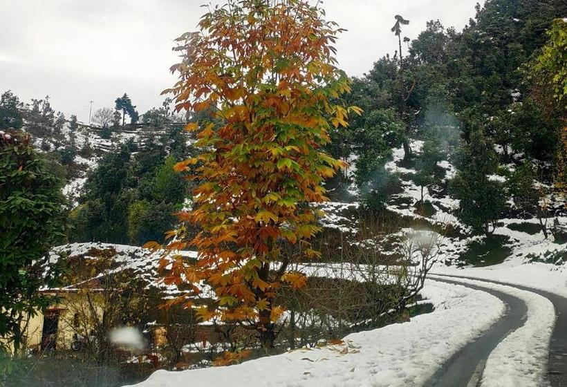 Pension White Heaven Mukteshwar