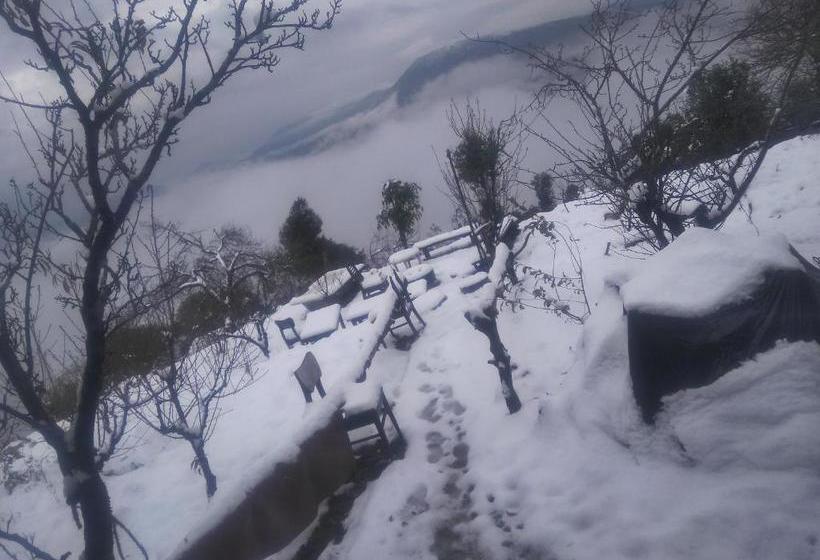Pension White Heaven Mukteshwar