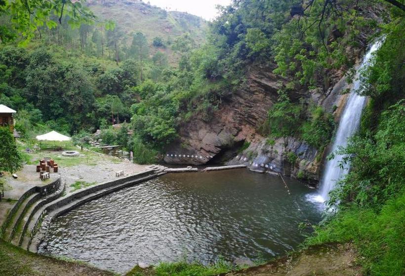 Pension White Heaven Mukteshwar