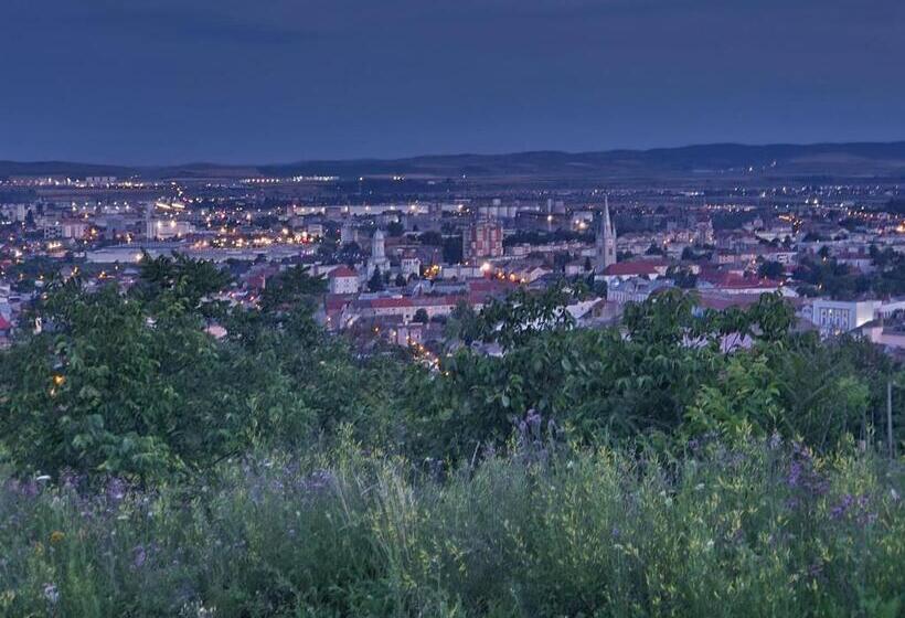 Pensiunea Bella Vista