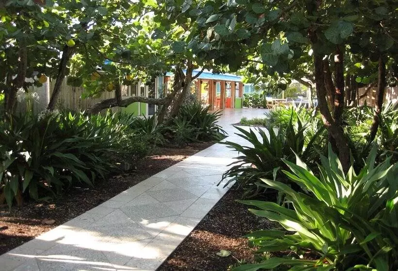 Colony Hotel & Cabaña Club