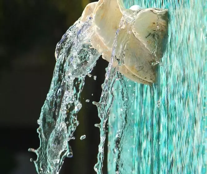 Colony Hotel & Cabaña Club