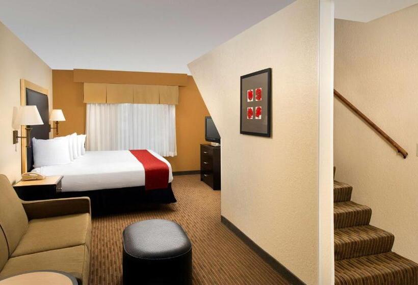 酒店 Best Western Alamo Suites Downtown