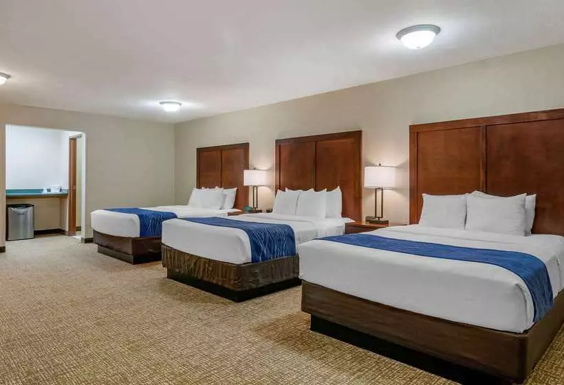 فندق Comfort Inn Bozeman Near University