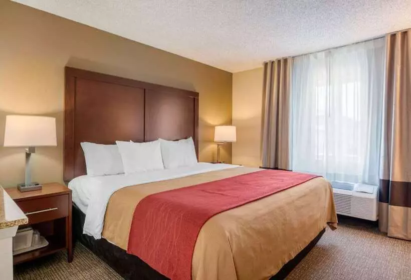 酒店 Comfort Inn Medford North