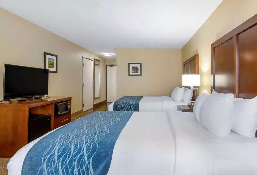 Hotel Comfort Inn