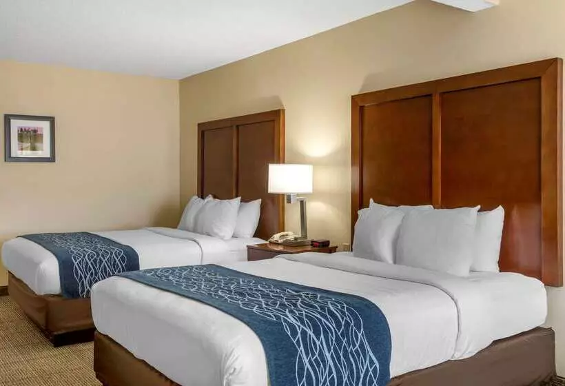 Hotel Comfort Inn