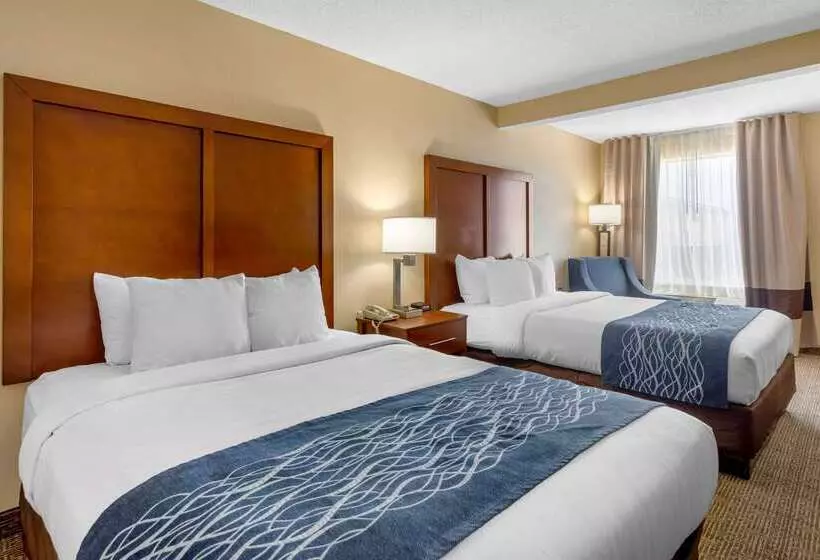 Hotel Comfort Inn