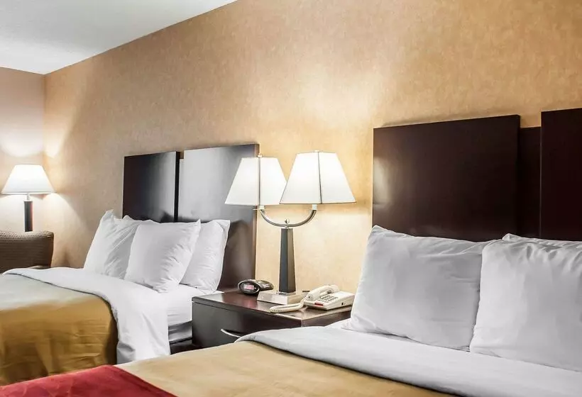 Hotel Quality Inn