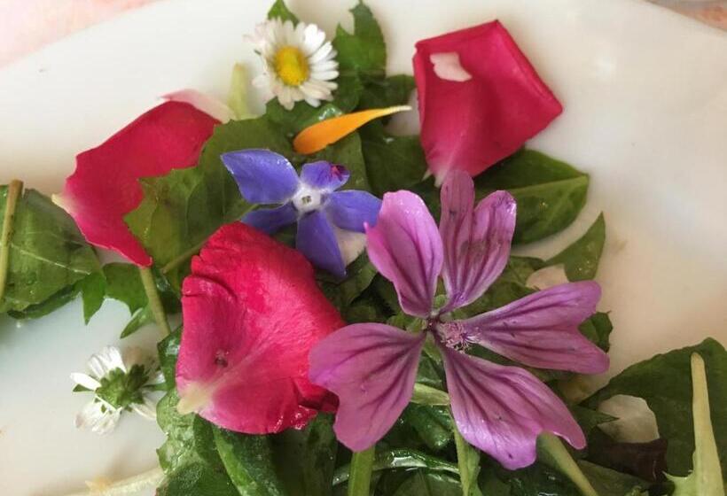 Farmhouse B&b Il Paretaio