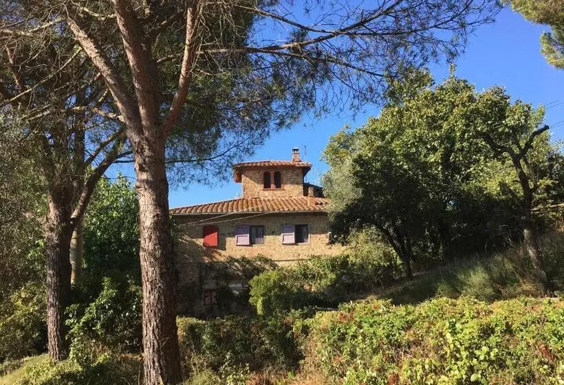 Farmhouse B&b Il Paretaio