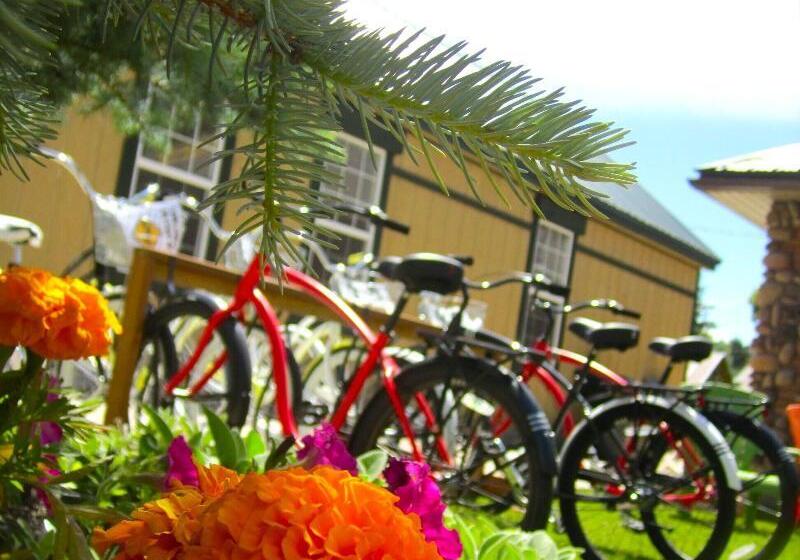 فندق Compass Rose Lodge