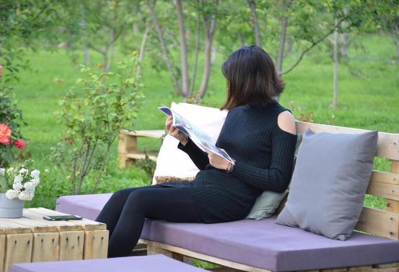 Mystic River Design Hostel