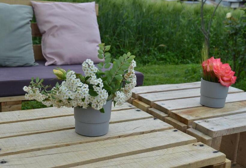 Mystic River Design Hostel