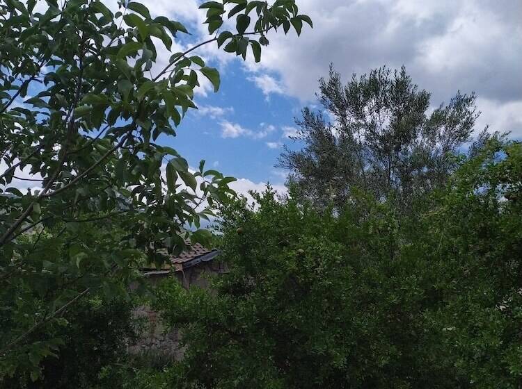 酒店 Selale Stone House Boutique