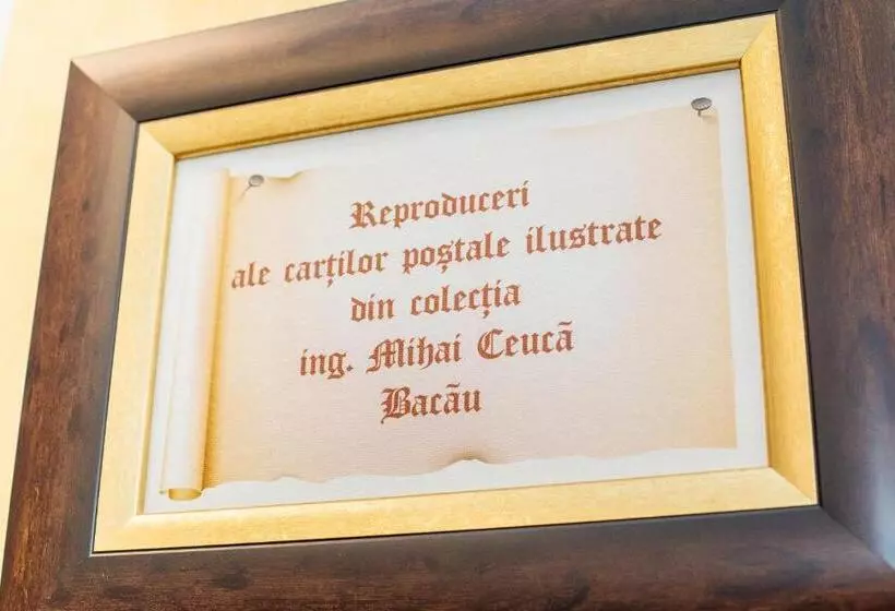 ペンション Magic Garden By Vlăduț