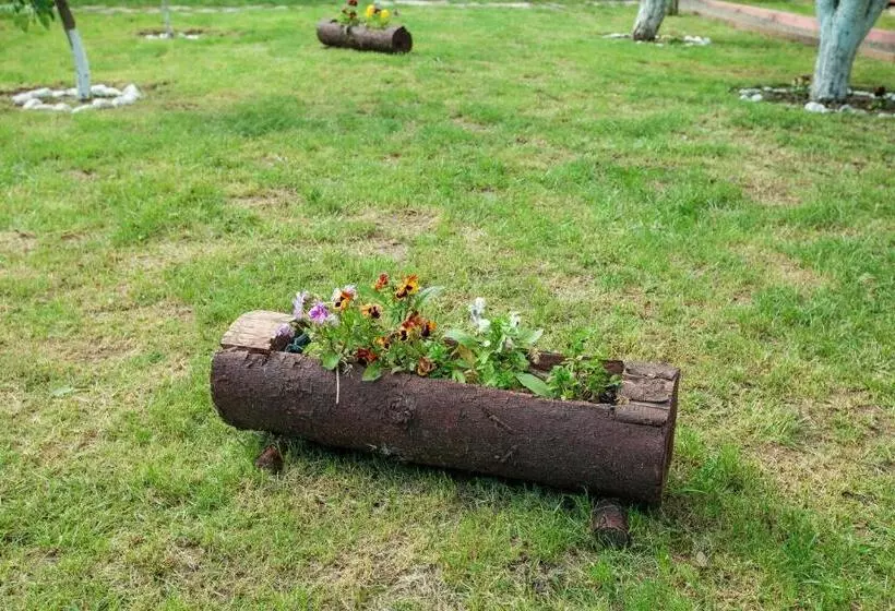 ペンション Magic Garden By Vlăduț