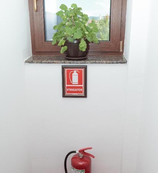 پانسیون Magic Garden By Vlăduț