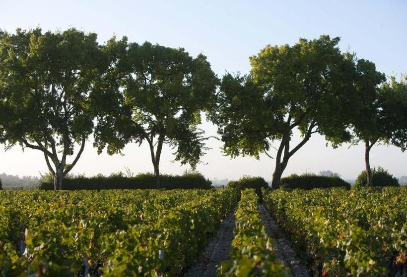 住宿加早餐  Chasse Spleen Les Chambres