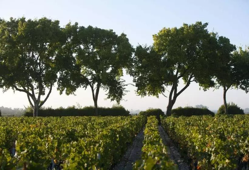 ベッドアンドブレックファースト Chasse Spleen Les Chambres