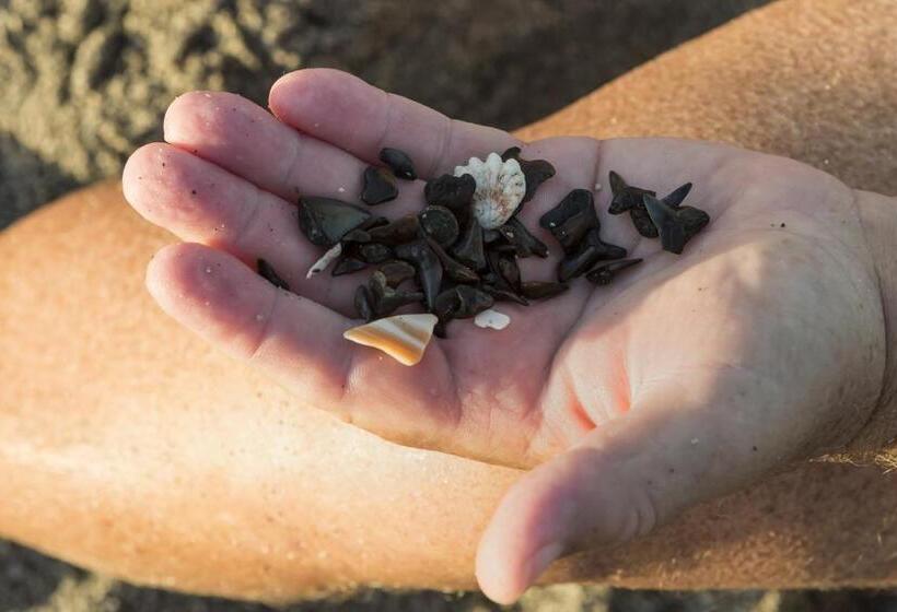 ホテル Tropical Villas Of Venice Beach