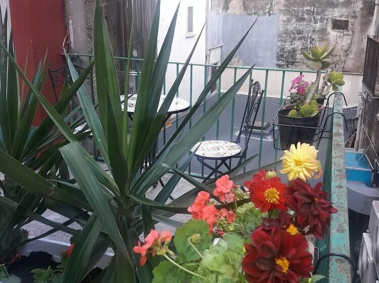 פנסיון Affittacamere Al Molo Sant Eligio