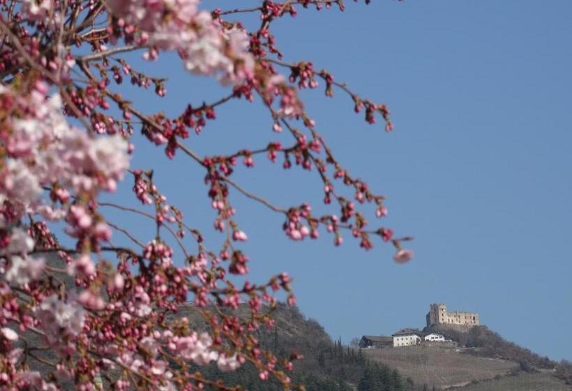 تختخواب و صبحانه Sir Thomas Bed And More