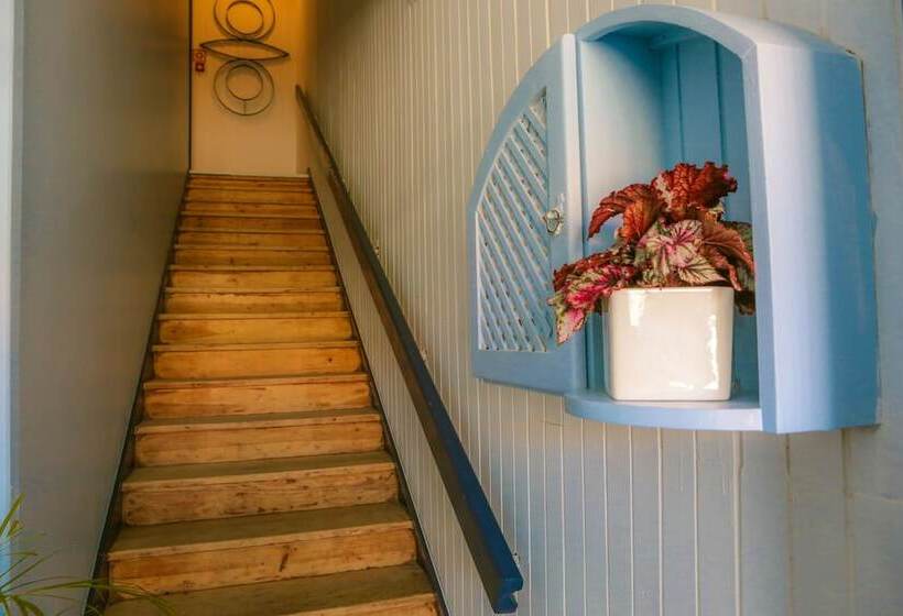 Caminha Hostel & Suites