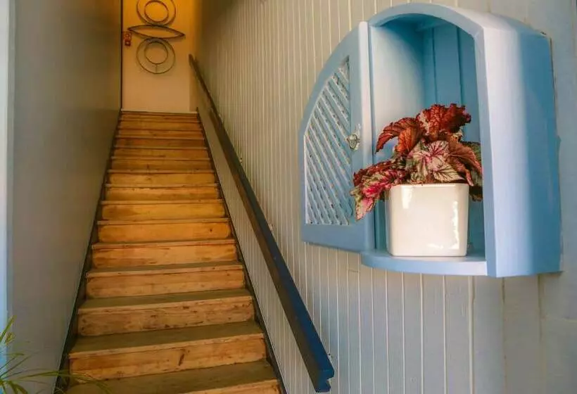 Caminha Hostel & Suites