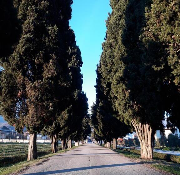 مبيت وإفطار Guest House Villa Angaran San Giuseppe