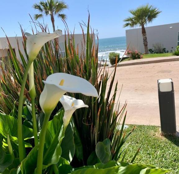 La Jolla Excellence, Exclusive Front Beach!