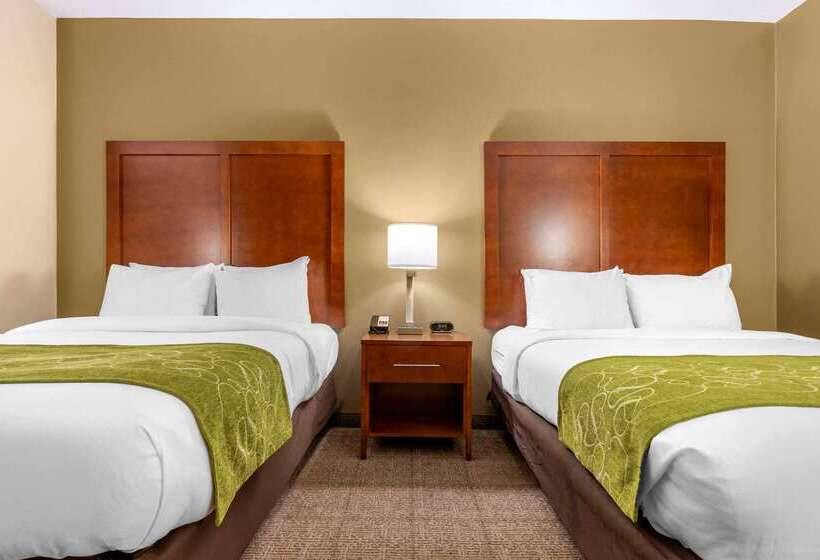 בית מלון כפרי Comfort Suites Boone  University Area