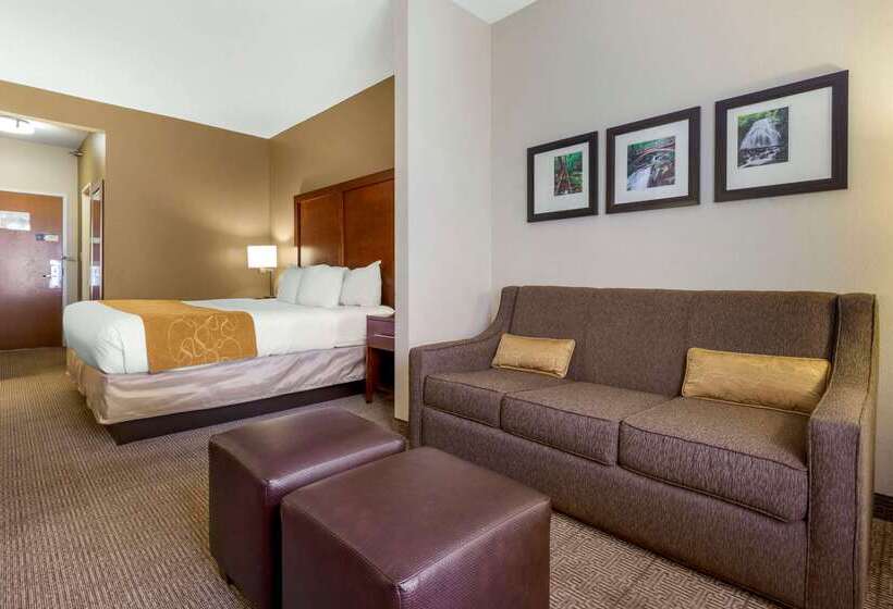 בית מלון כפרי Comfort Suites Boone  University Area