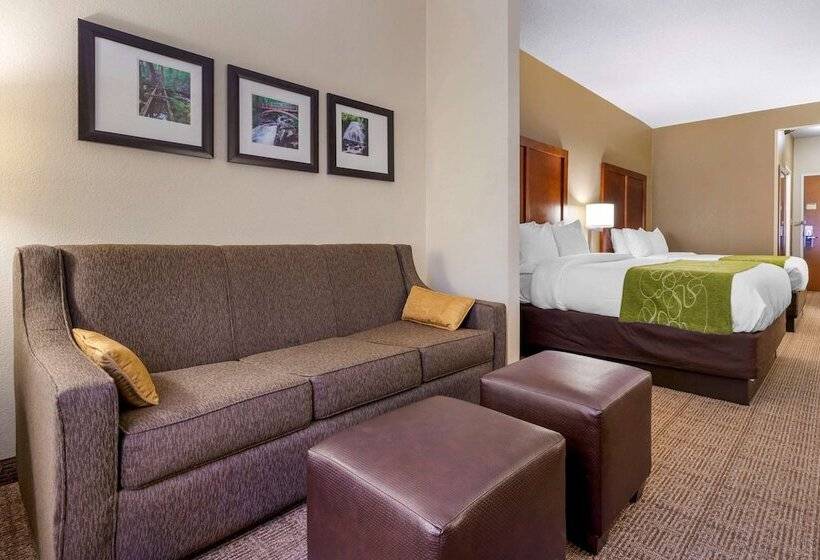 בית מלון כפרי Comfort Suites Boone  University Area