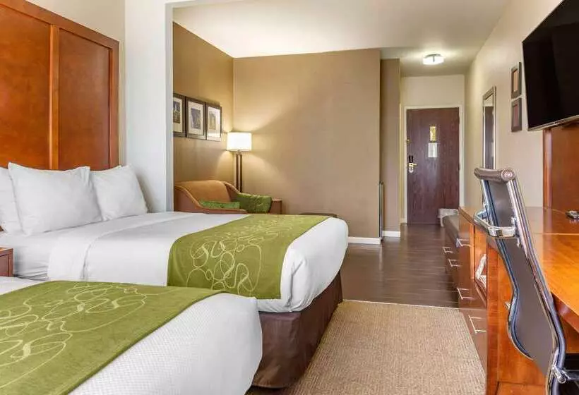 هتل Comfort Suites Dover