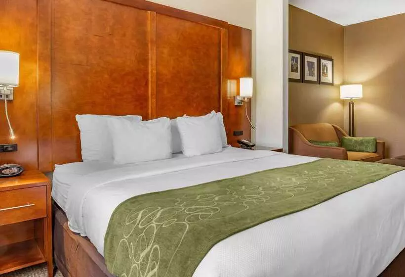 هتل Comfort Suites Dover