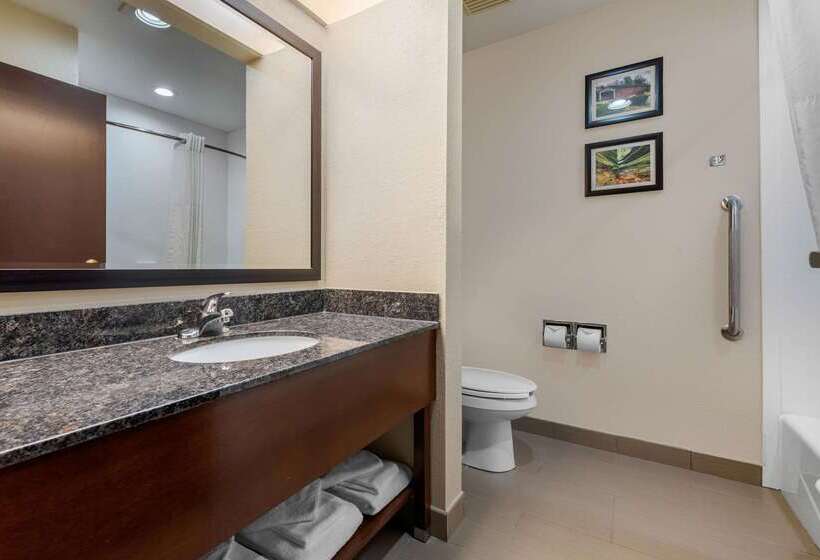 Отель Comfort Suites Lafayette University Area