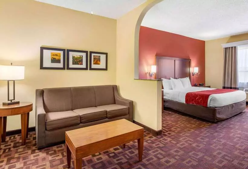 호텔 Comfort Suites  Near The Galleria