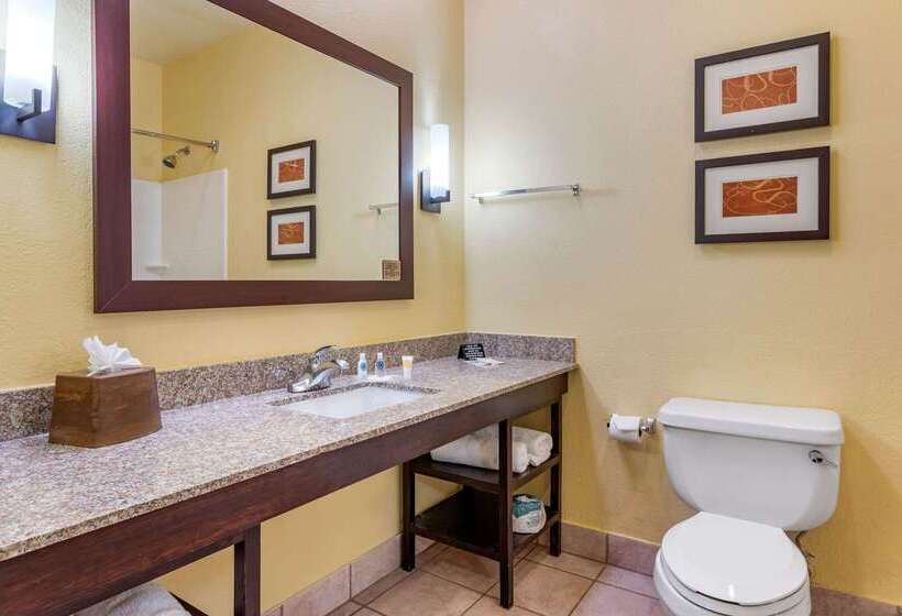 هتل Comfort Suites Near The Galleria