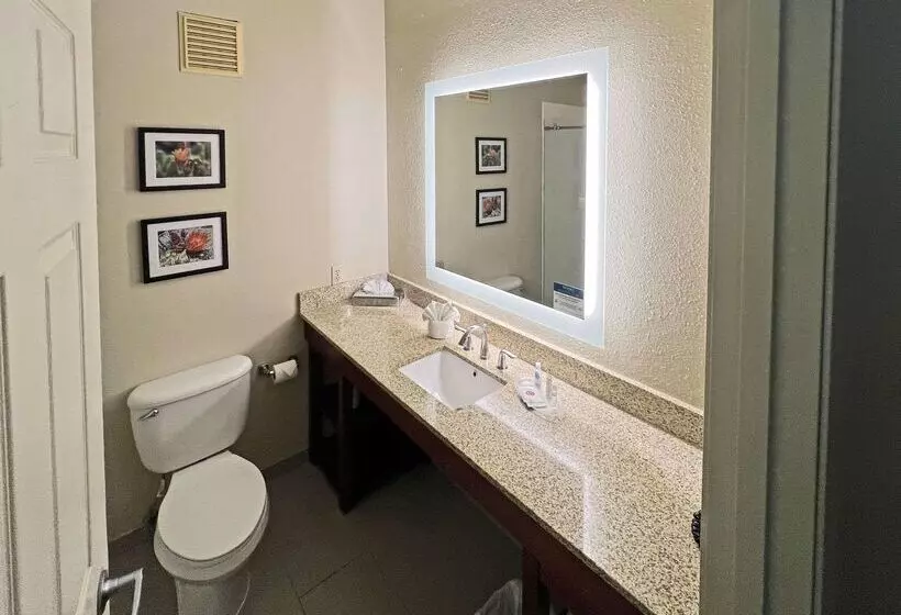 Отель Comfort Suites Peoria Sports Complex